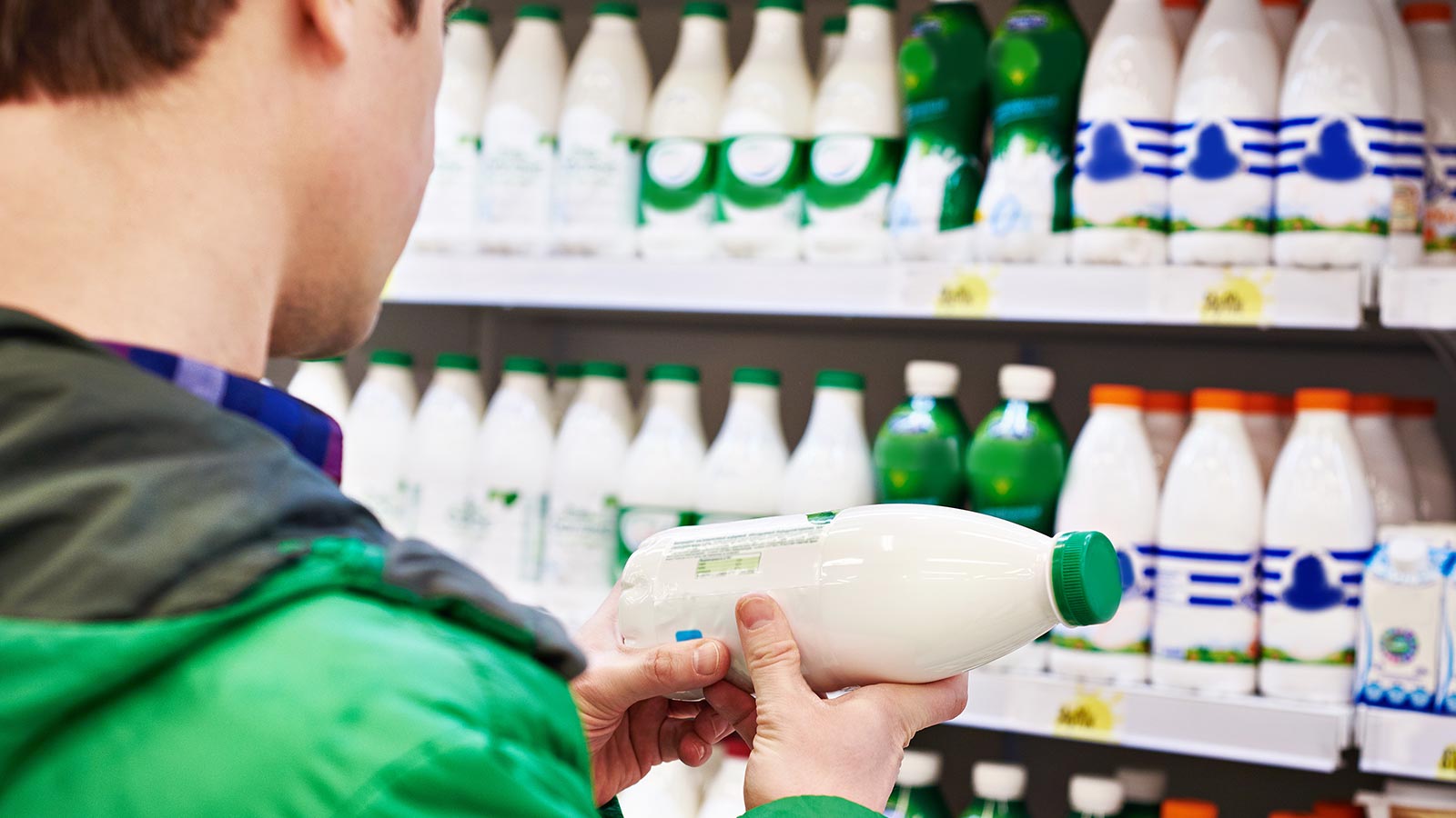 Origen leche productos lacteos